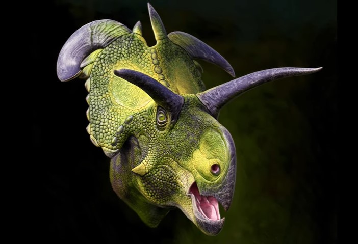 Новооткрит динозавър с „хевиметъл“ рога