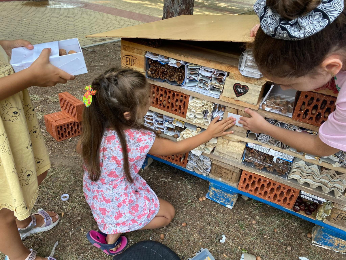 Деца направиха хотел за насекоми
